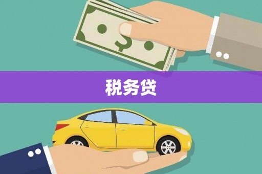 靖西税务贷