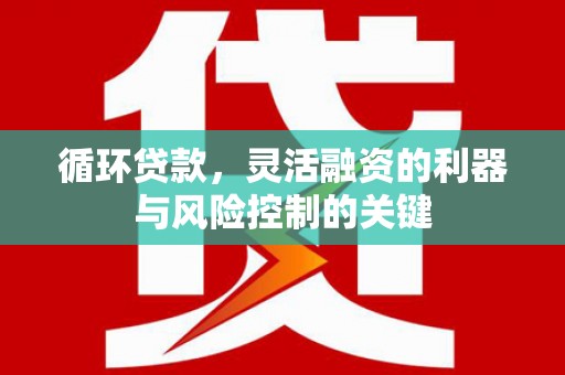 靖西循环贷款，灵活融资的利器与风险控制的关键
