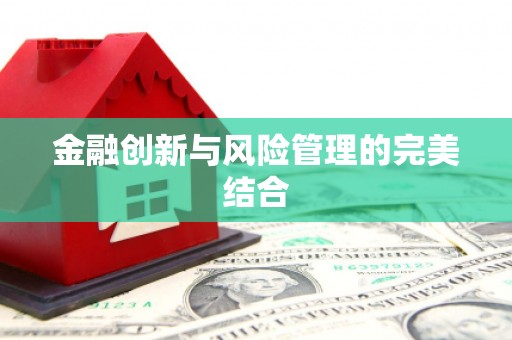 靖西金融创新与风险管理的完美结合