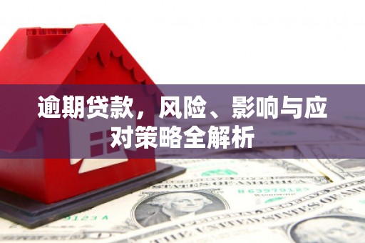 靖西逾期贷款，风险、影响与应对策略全解析