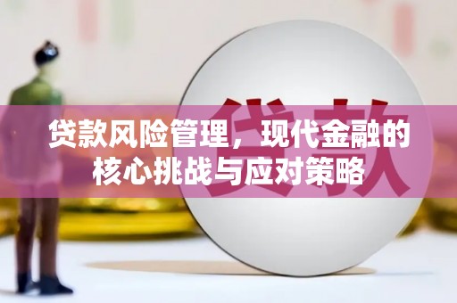 靖西贷款风险管理，现代金融的核心挑战与应对策略