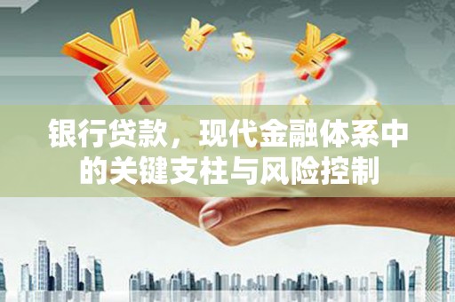 靖西银行贷款，现代金融体系中的关键支柱与风险控制