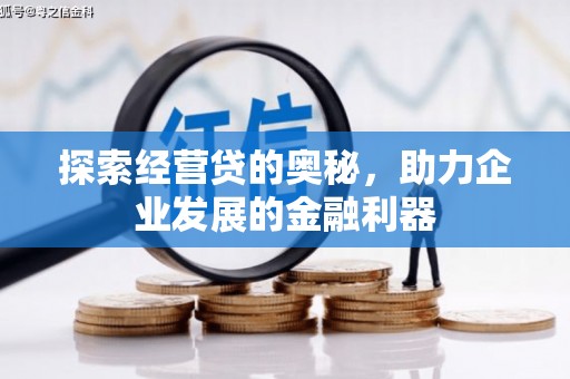 靖西探索经营贷的奥秘，助力企业发展的金融利器
