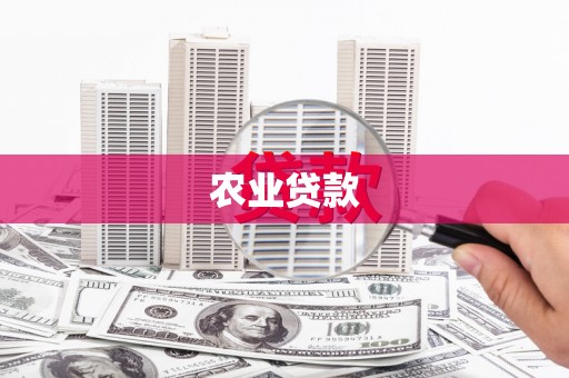 靖西农业贷款