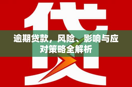 靖西逾期贷款，风险、影响与应对策略全解析