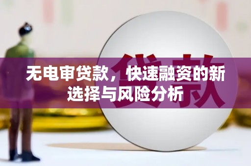 靖西无电审贷款，快速融资的新选择与风险分析