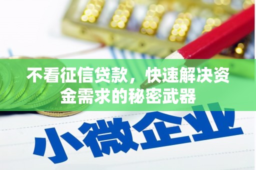靖西不看征信贷款，快速解决资金需求的秘密武器