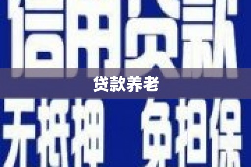 靖西贷款养老