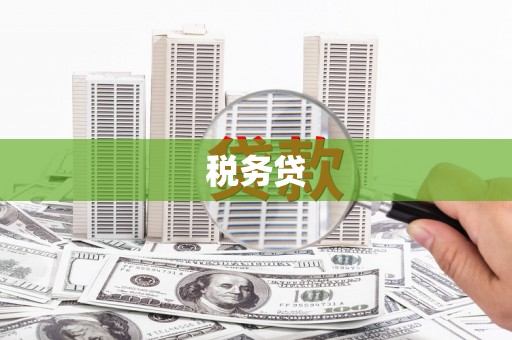 靖西税务贷
