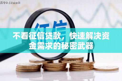 靖西不看征信贷款，快速解决资金需求的秘密武器