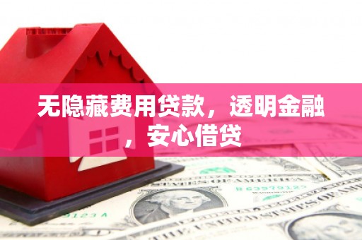 靖西无隐藏费用贷款，透明金融，安心借贷