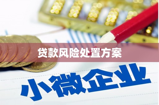 靖西贷款风险处置方案