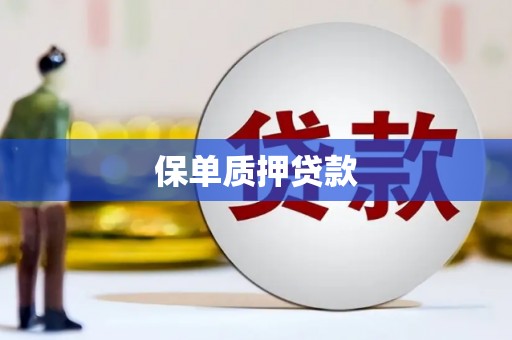 靖西保单质押贷款