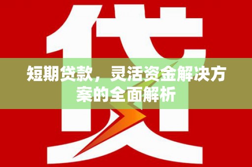 靖西短期贷款，灵活资金解决方案的全面解析