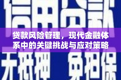 靖西贷款风险管理，现代金融体系中的关键挑战与应对策略