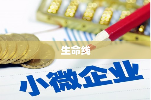 靖西生命线