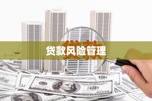 靖西贷款风险管理