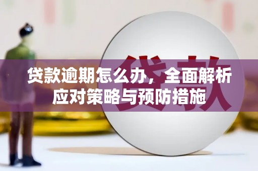 靖西贷款逾期怎么办，全面解析应对策略与预防措施