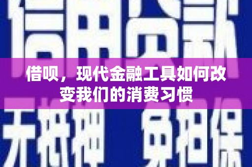 靖西借呗，现代金融工具如何改变我们的消费习惯