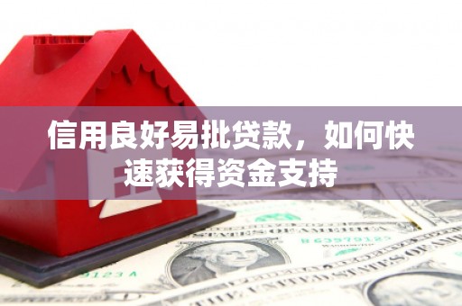 靖西信用良好易批贷款，如何快速获得资金支持