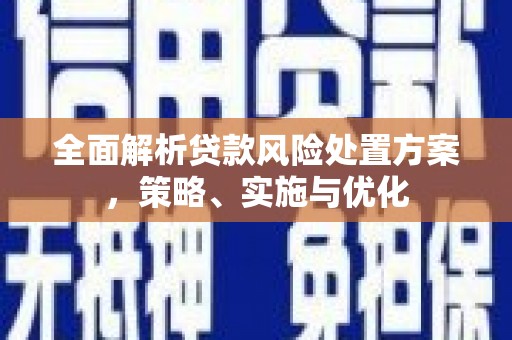 靖西全面解析贷款风险处置方案，策略、实施与优化