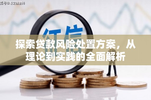 靖西探索贷款风险处置方案，从理论到实践的全面解析