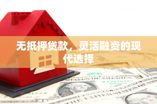 靖西无抵押贷款，灵活融资的现代选择