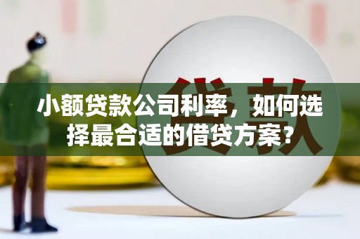 靖西小额贷款公司利率，如何选择最合适的借贷方案？