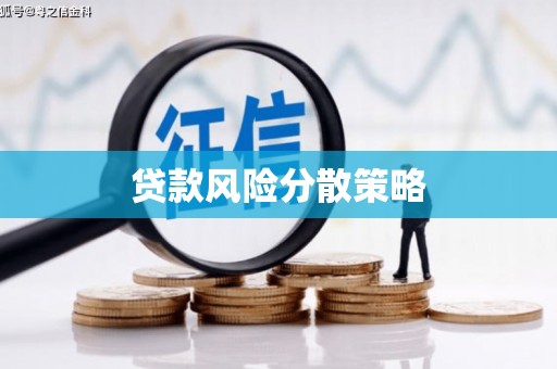 靖西贷款风险分散策略