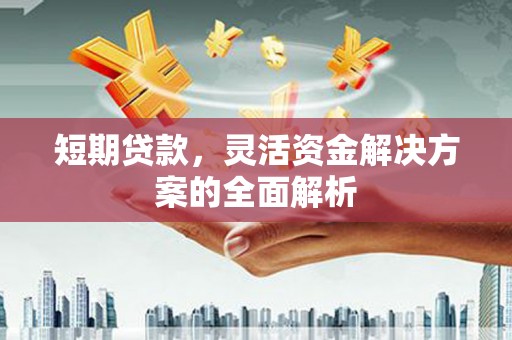 靖西短期贷款，灵活资金解决方案的全面解析