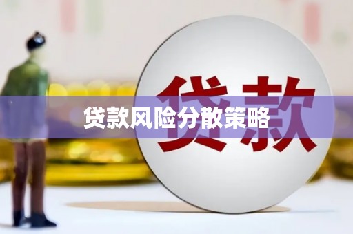 靖西贷款风险分散策略