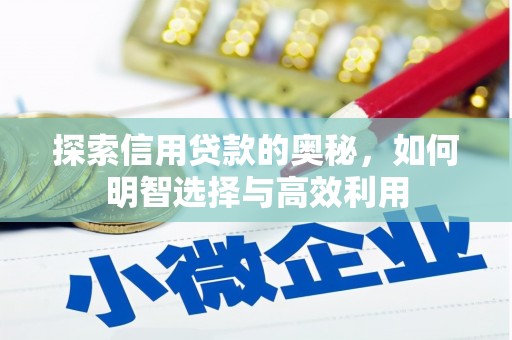 靖西探索信用贷款的奥秘，如何明智选择与高效利用