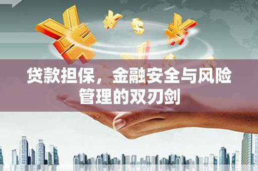 靖西贷款担保，金融安全与风险管理的双刃剑