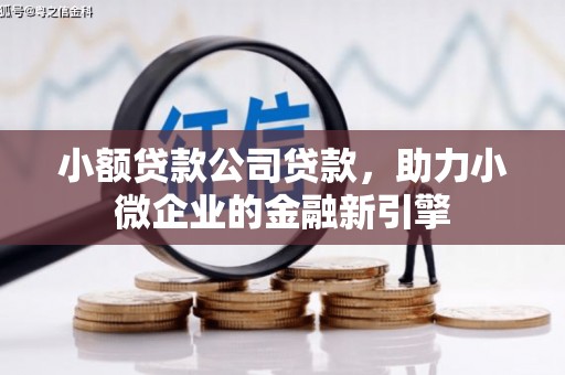 靖西小额贷款公司贷款，助力小微企业的金融新引擎