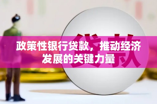 靖西政策性银行贷款，推动经济发展的关键力量