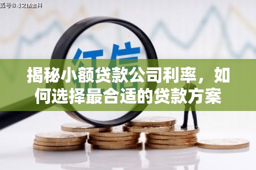 靖西揭秘小额贷款公司利率，如何选择最合适的贷款方案