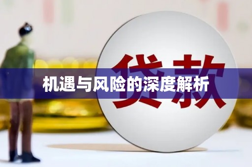 靖西机遇与风险的深度解析