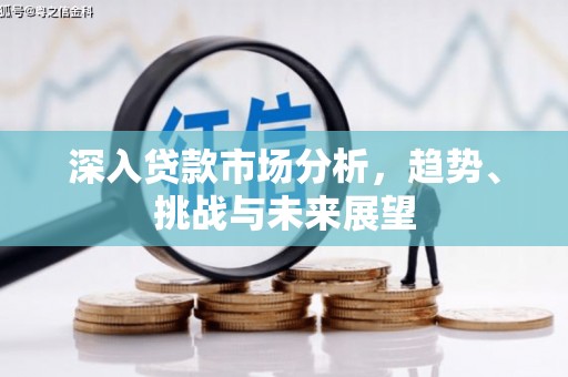 靖西深入贷款市场分析，趋势、挑战与未来展望