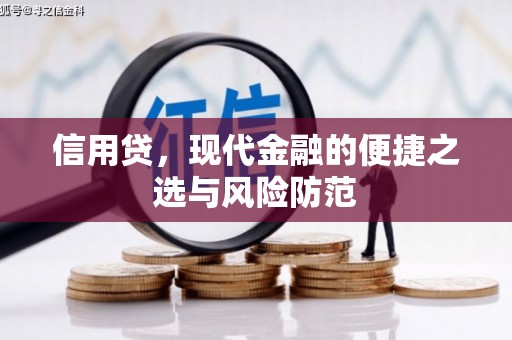 靖西信用贷，现代金融的便捷之选与风险防范