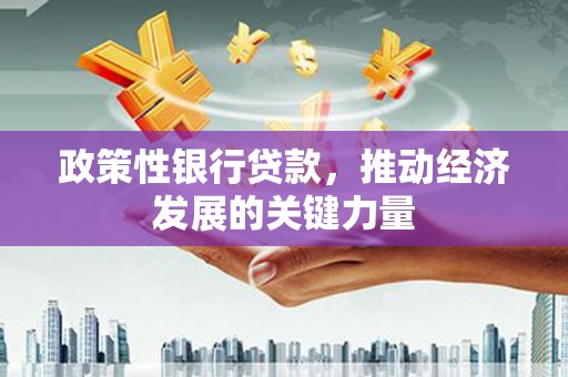 靖西政策性银行贷款，推动经济发展的关键力量