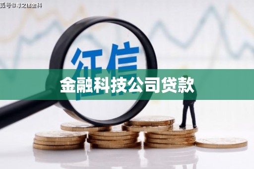 靖西金融科技公司贷款