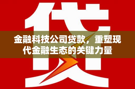 靖西金融科技公司贷款，重塑现代金融生态的关键力量
