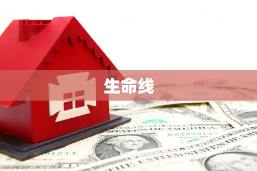 靖西生命线