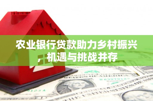 靖西农业银行贷款助力乡村振兴，机遇与挑战并存