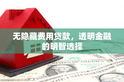 靖西无隐藏费用贷款，透明金融的明智选择