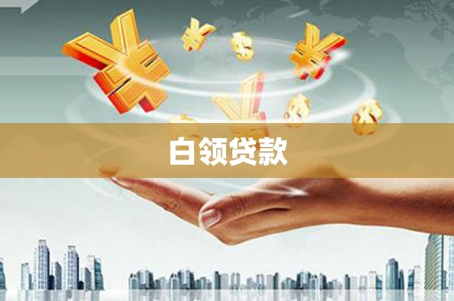 靖西白领贷款