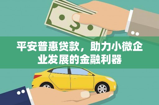 靖西平安普惠贷款，助力小微企业发展的金融利器