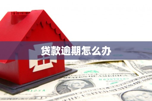 靖西贷款逾期怎么办