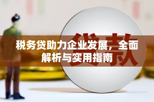 靖西税务贷助力企业发展，全面解析与实用指南