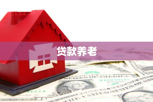靖西贷款养老